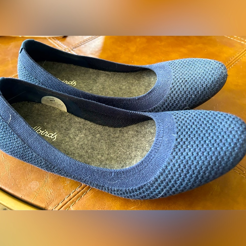 Allbirds Navy Flats - Size 7